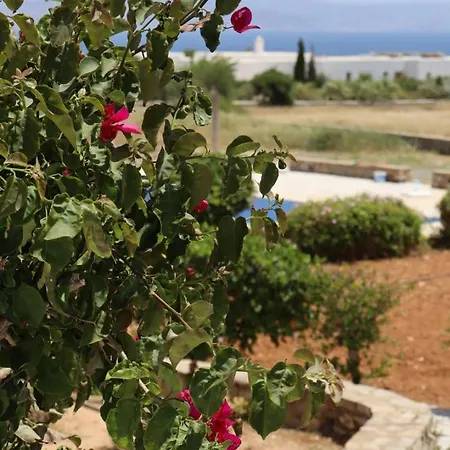 Sea View Serenity Paros * Ambelas