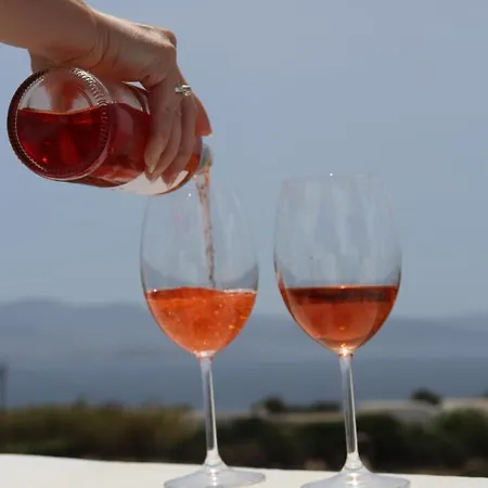 Sea View Serenity Paros Villa Ambelas