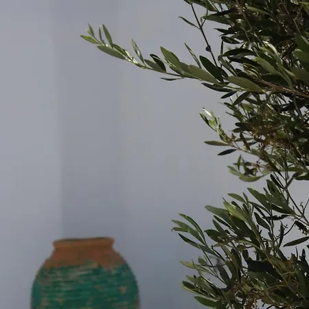 Villa Sea View Serenity Paros *