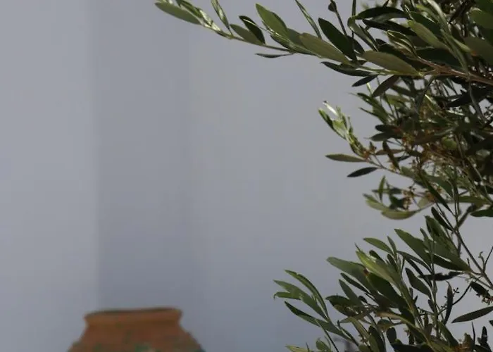 Villa Sea View Serenity Paros *